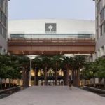 NYU Abu Dhabi Executive MBA