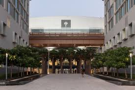 NYU Abu Dhabi Executive MBA